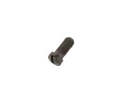 Screw #22593