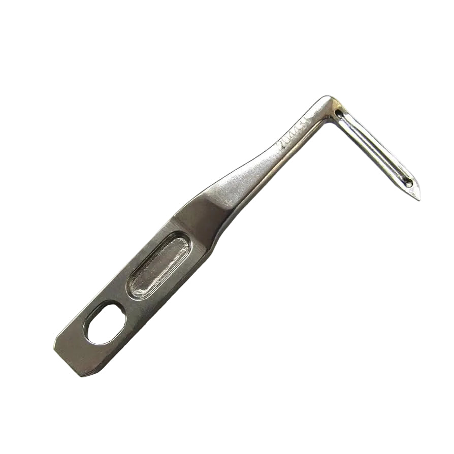 Chainst Looper #204431