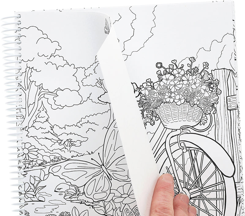 Blooms & Butterflies Coloring Book