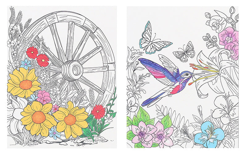 Blooms & Butterflies Coloring Book
