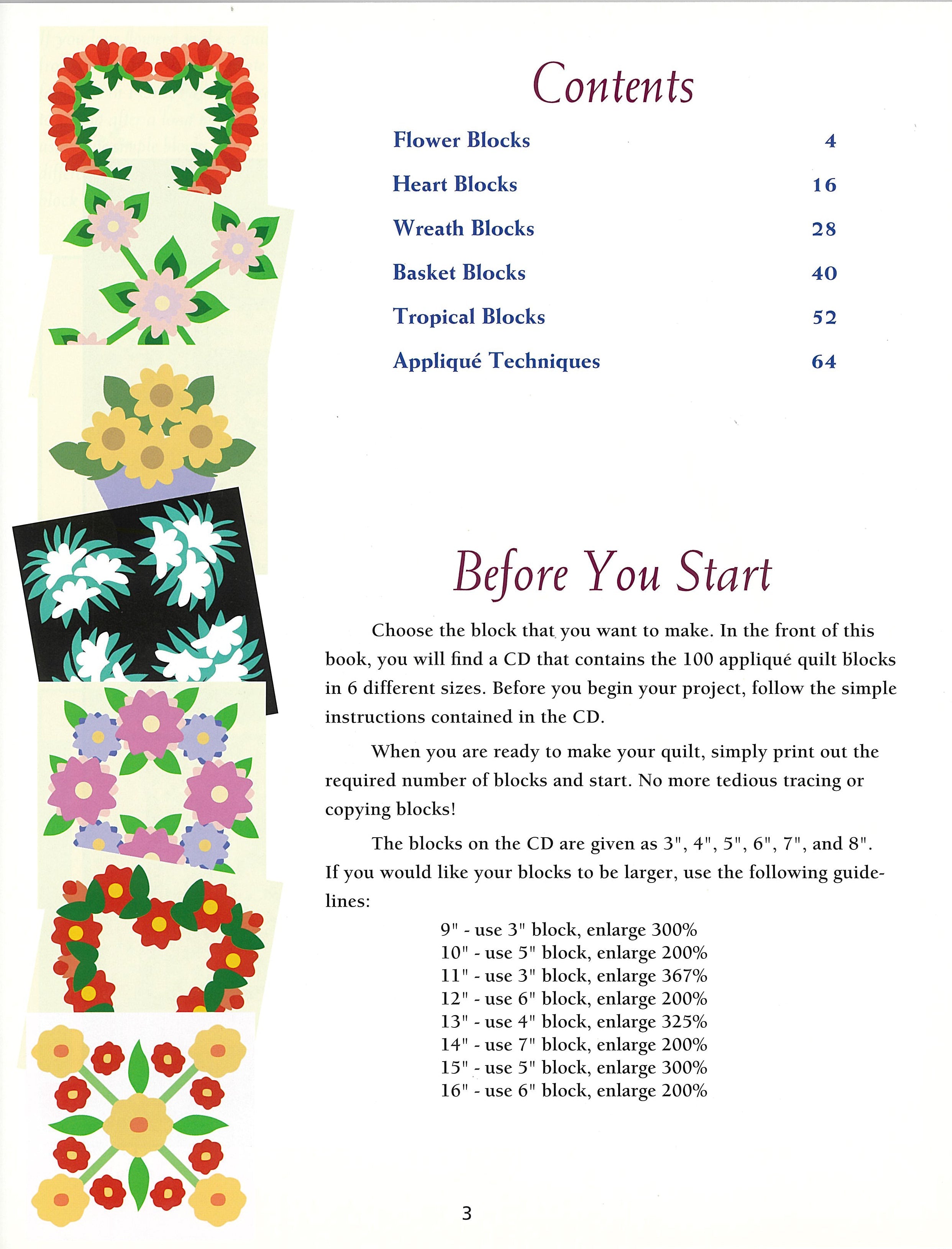 100 Any-Size Applique Blocks