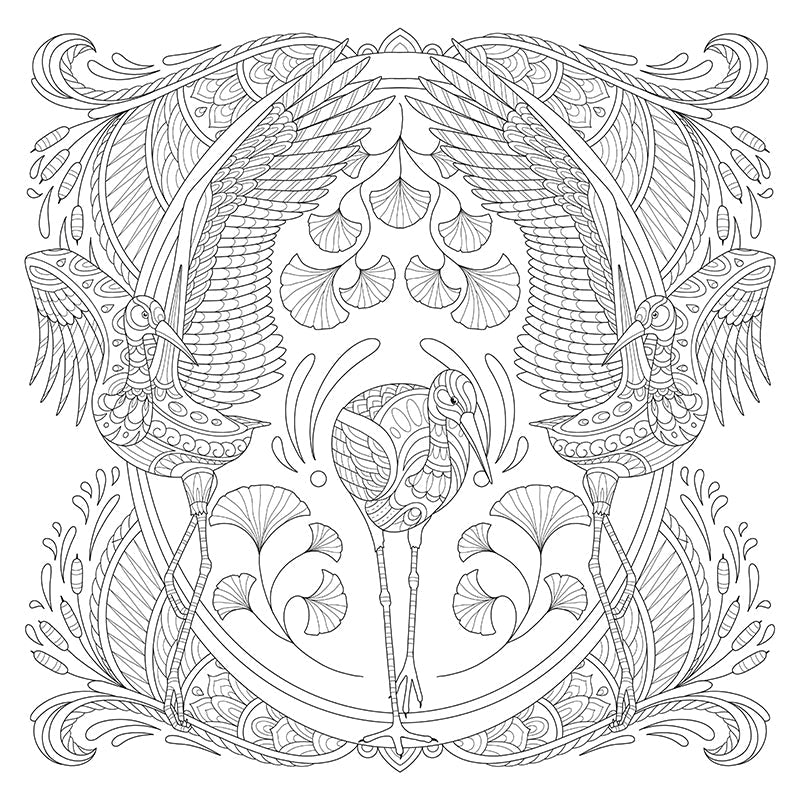 My Bird Mandala Coloring Book
