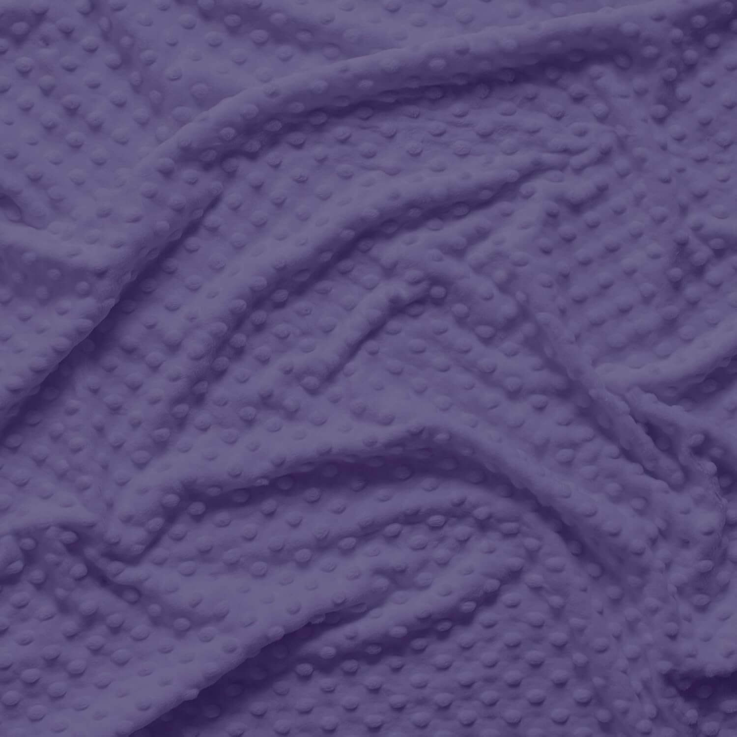 Minky Dot - Purple