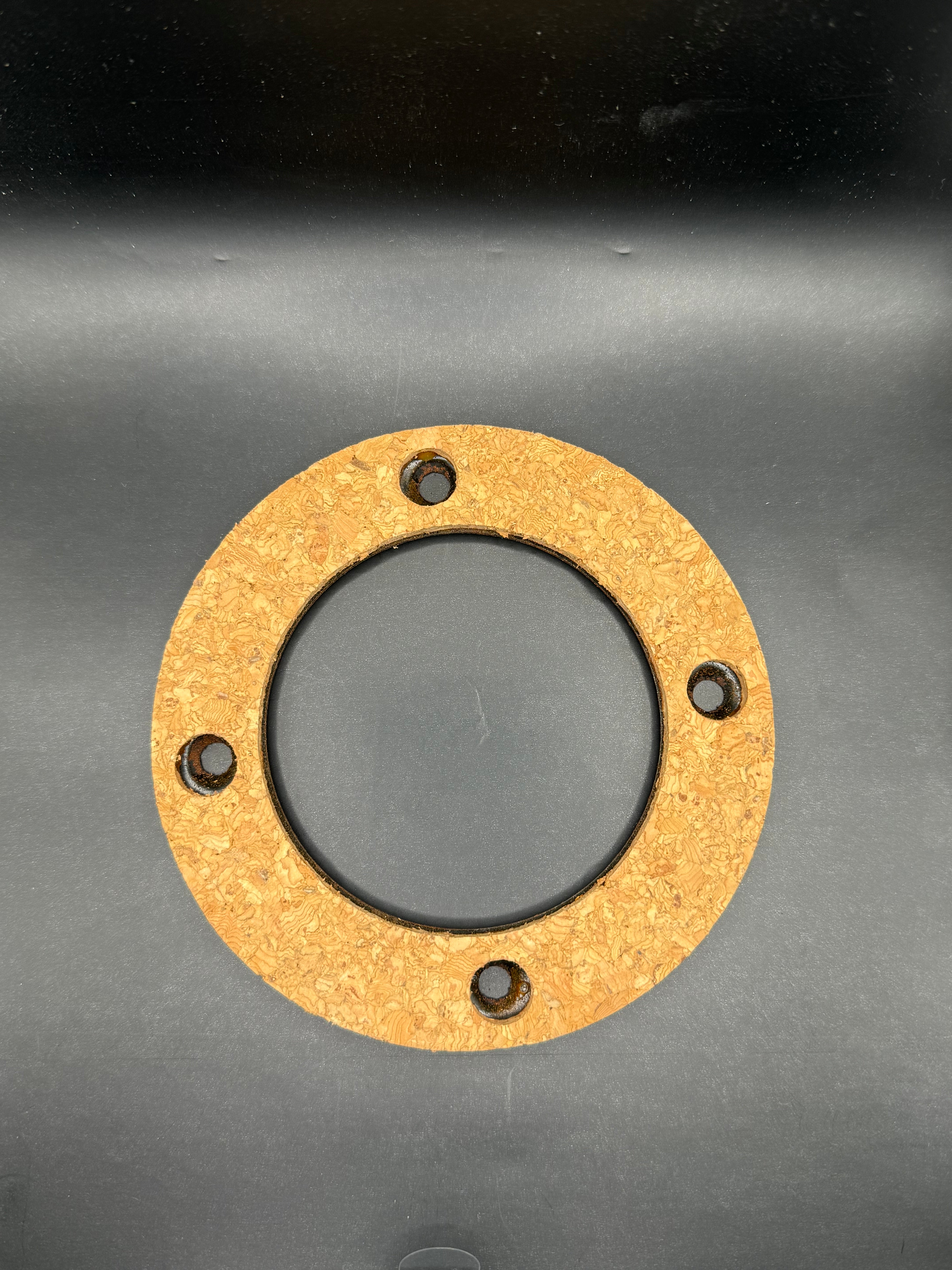 Friction Disk (EW31)