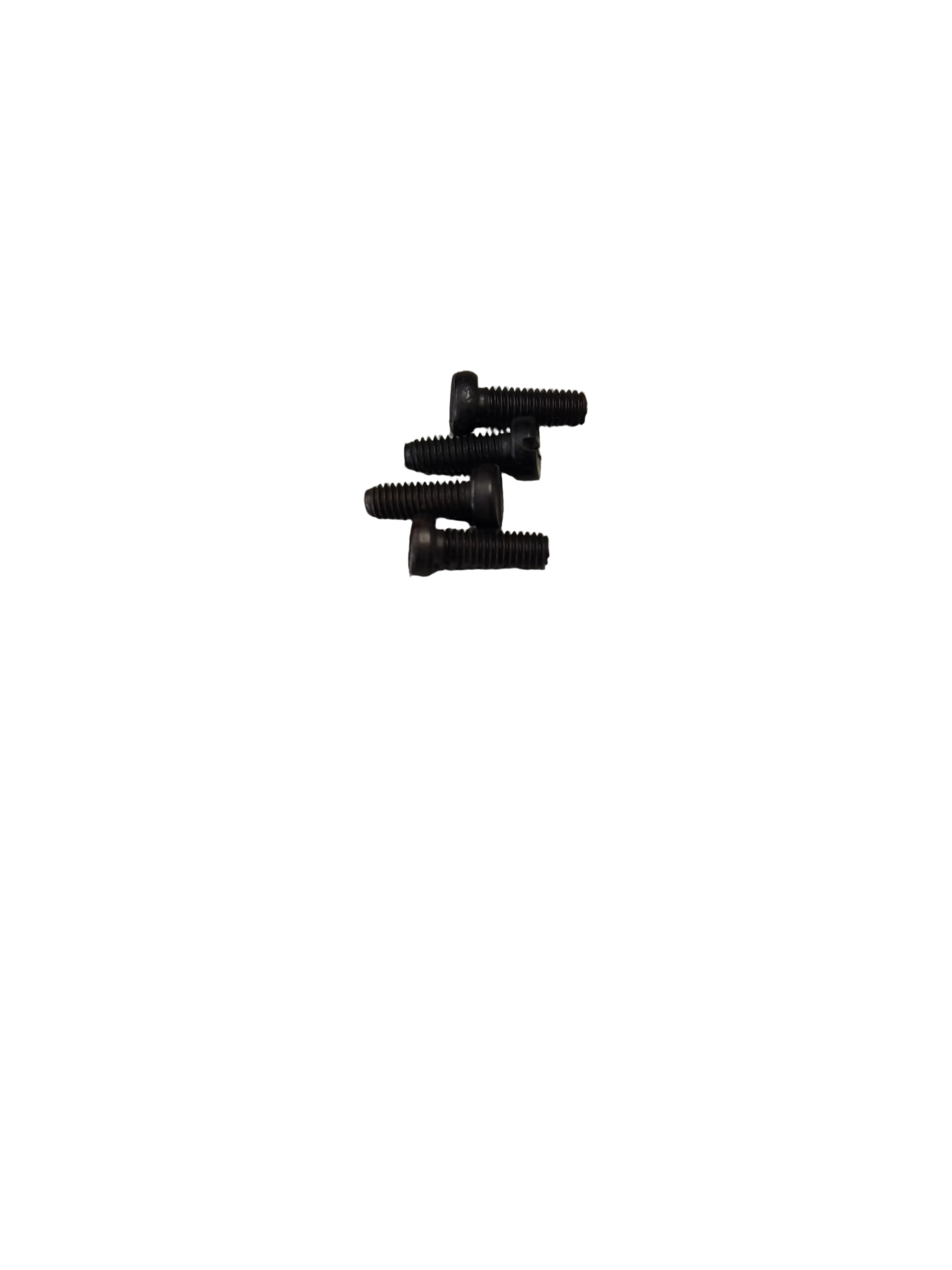 Screw #120227