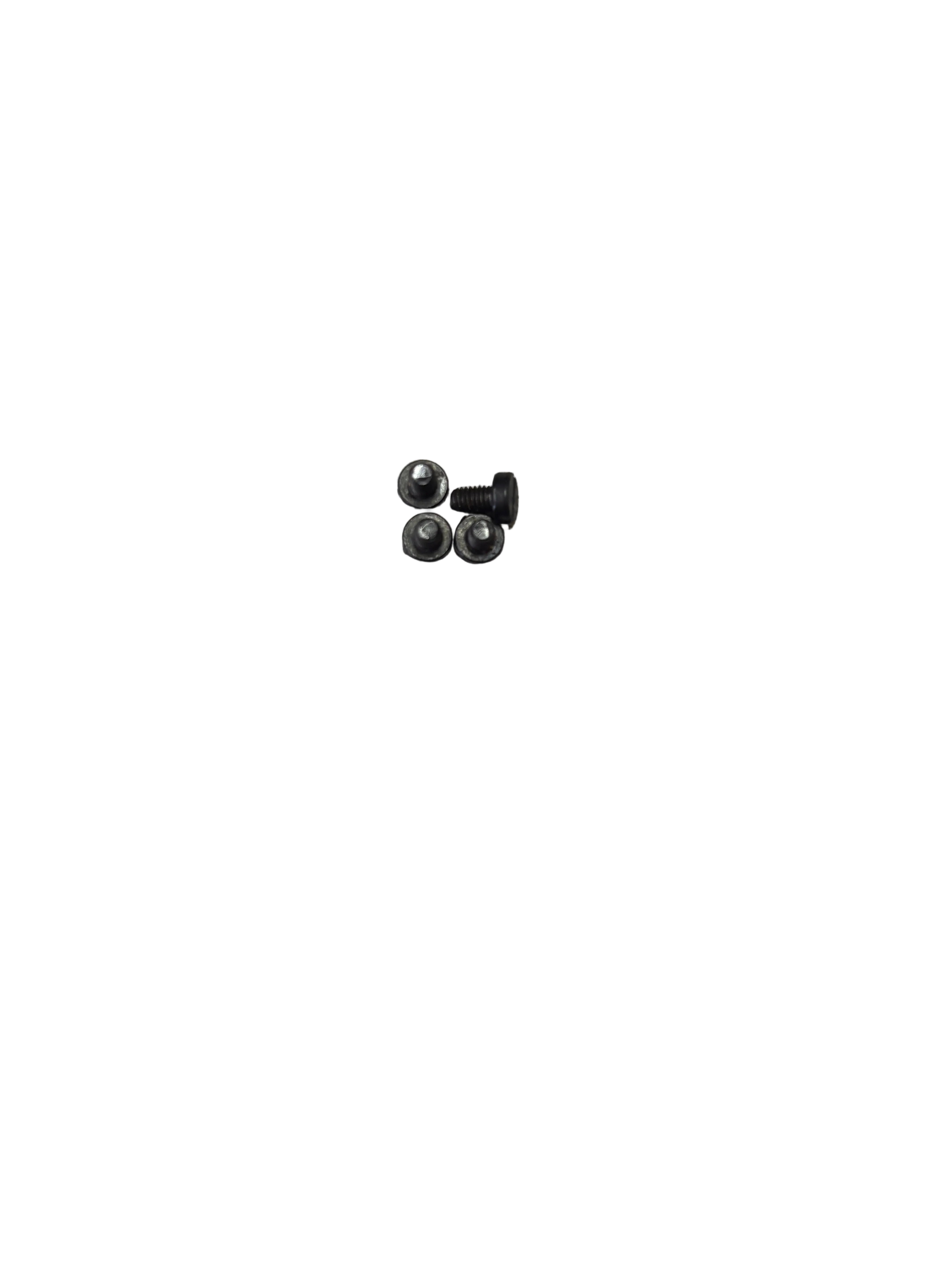 Screw #120216