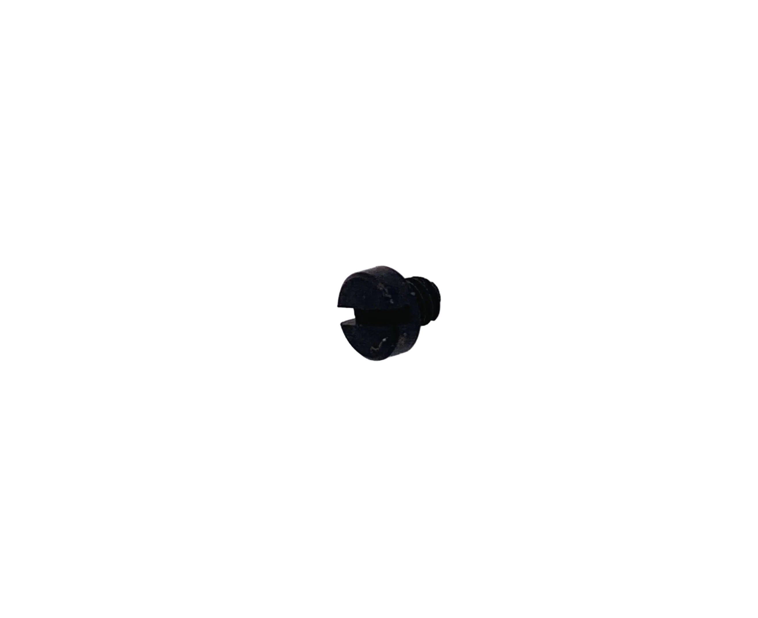 Screw #110034