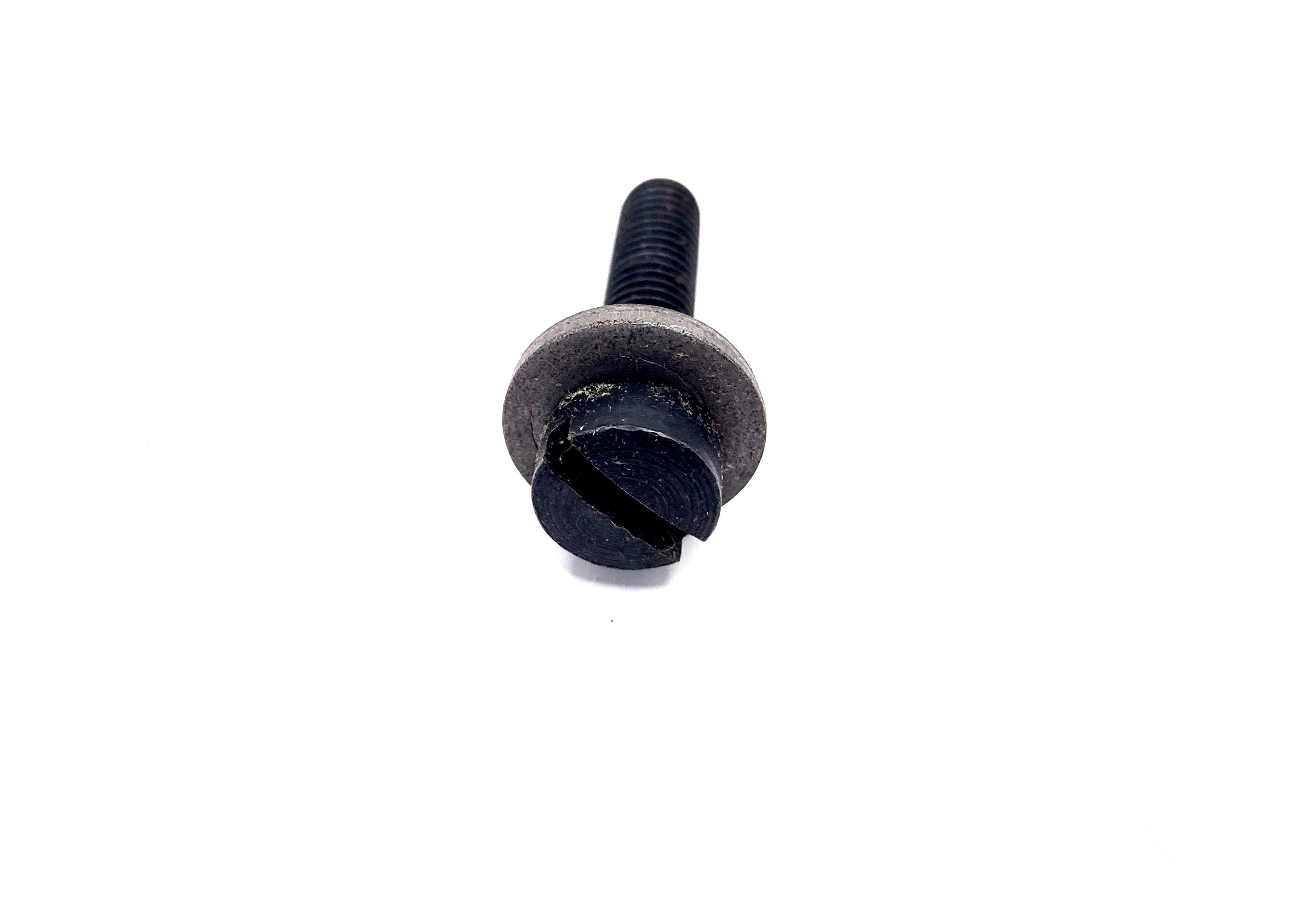 Oil Reservoir Screw #544379