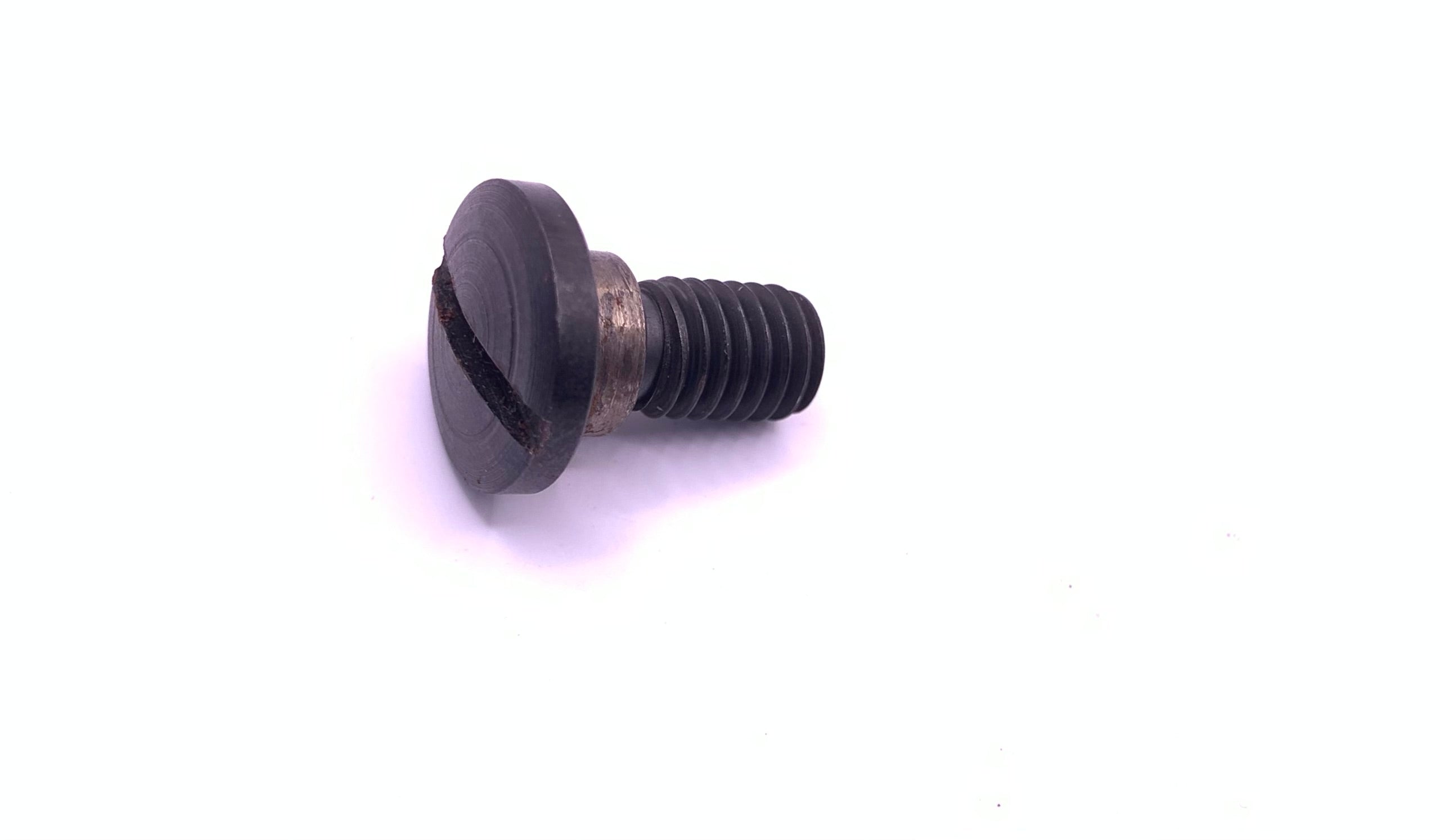 Hinge Screw #544341