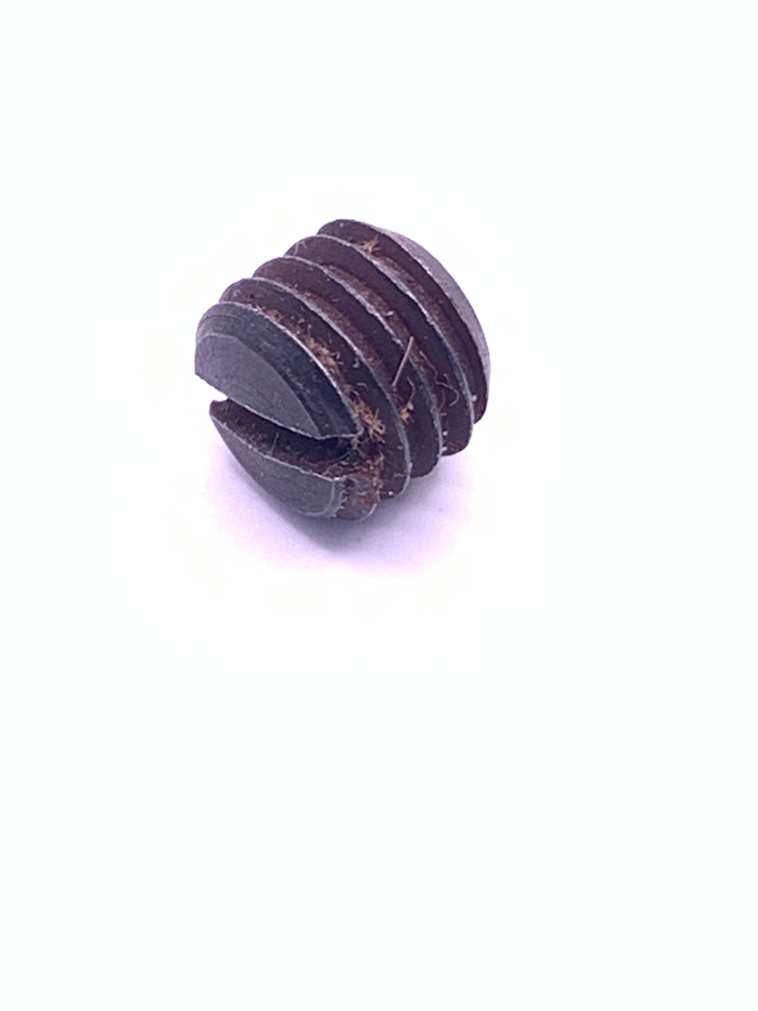 Lock Screw #544389