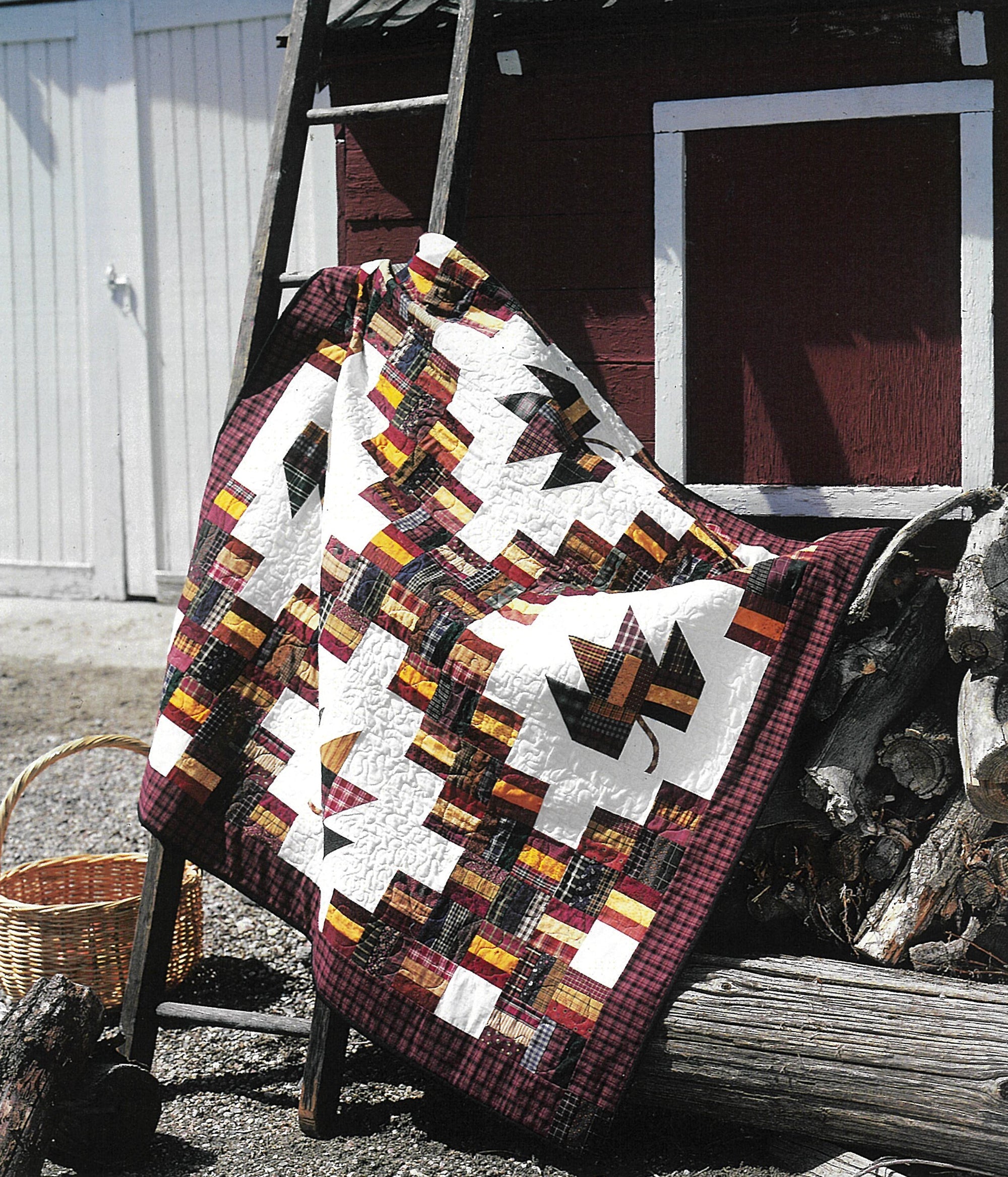 Quick & Scrappy Quilts