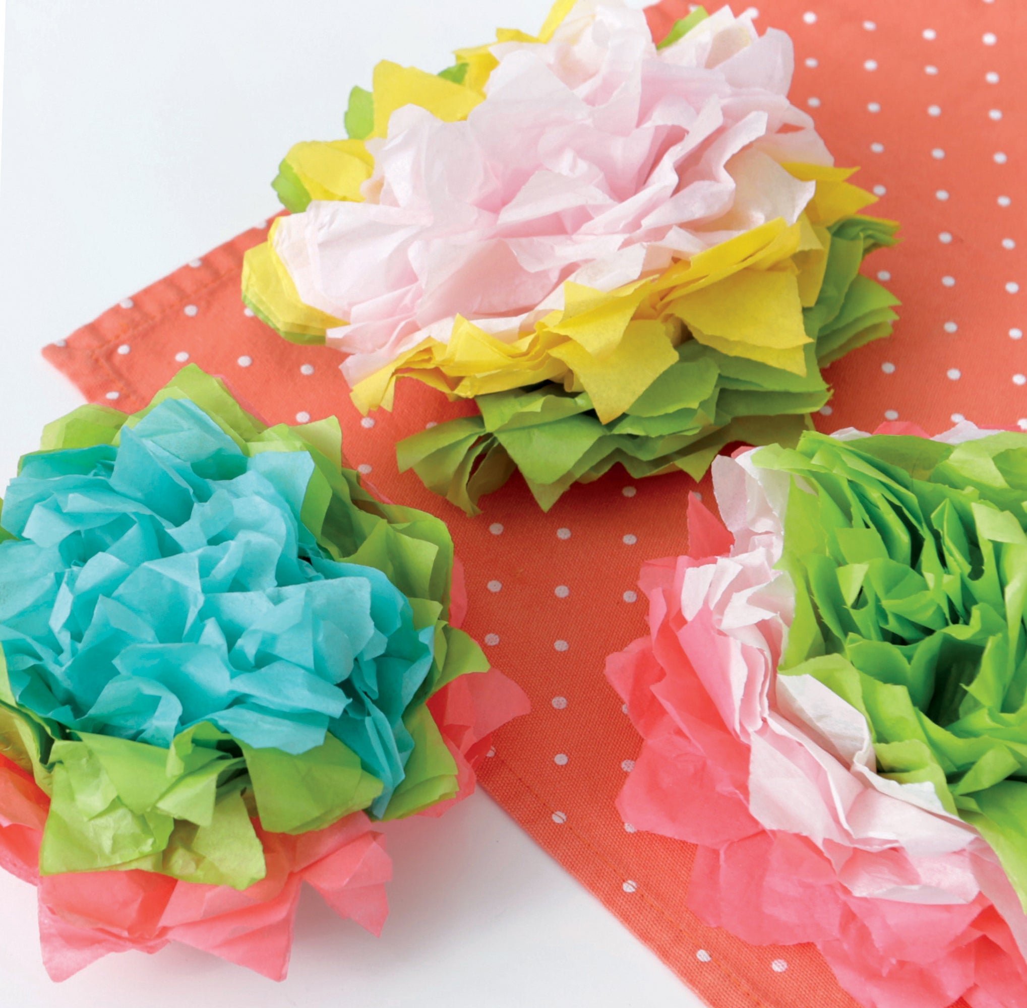 Paper Party—Easy-to-Make Projects for Parties, Celebrations & Even Home Decor