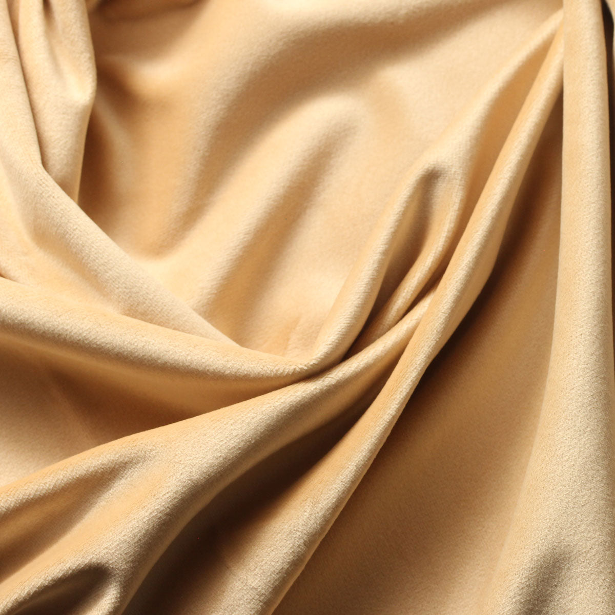 Camden Velvet Polyester Upholstery Drapery Fabric