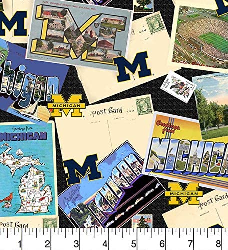 Michigan Wolverines - Scenic Postcard (3-Yard Pack)