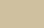 Oracal 651 Adhesive 12" x 12" Sheets