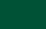Oracal 651 Adhesive 12" x 12" Sheets