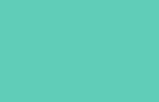 Oracal 651 Adhesive 12" x 12" Sheets
