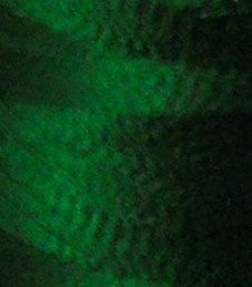 Floriani - PF0200 - True Green - 1000m